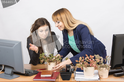 Image of One office employee puts on a workstation other employee of your flowers