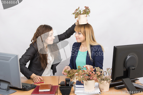 Image of  Frustrated office employee puts on a head-grower colleagues with a flower pot