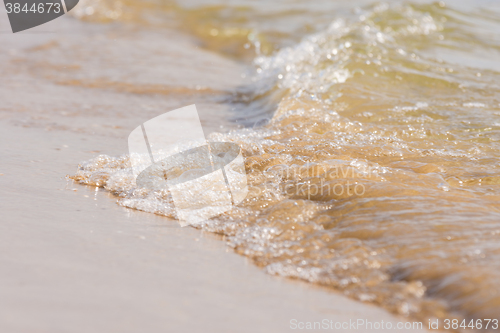 Image of The wave rolled on the sandy shore