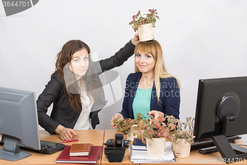 Image of An employee of the office puts on a head-grower colleagues with a flower pot