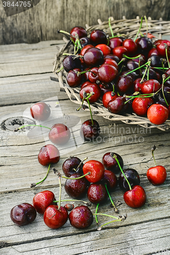 Image of Harvest rustic cherry