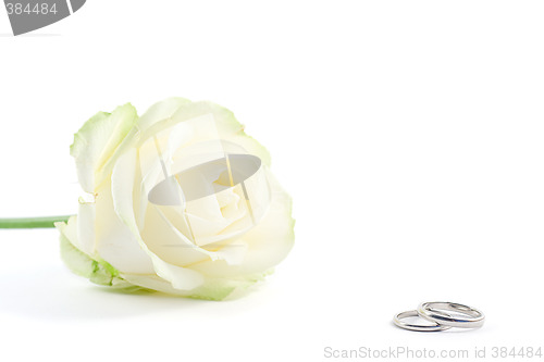 Image of wedding rings and a rose