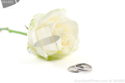 Image of wedding rings and a rose