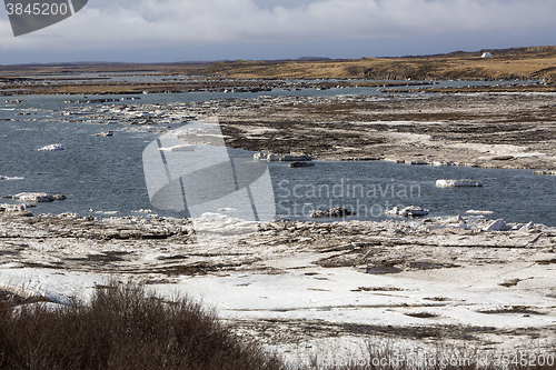 Image of Glacial ice float away on a river bank, Iceland