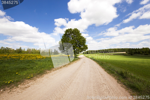 Image of Spring road ,  countryside  