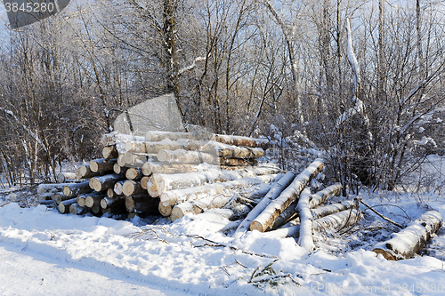 Image of logging   with snow 