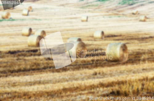 Image of agriculture, not in focus  