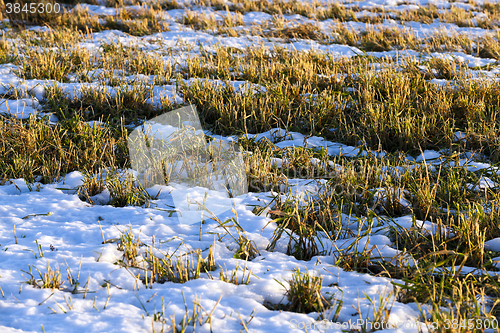 Image of winter season, the snow 