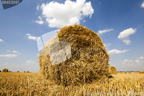 Image of packed straw , cereals