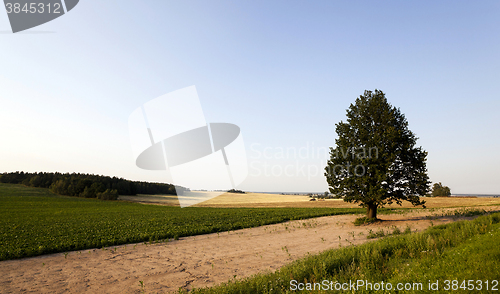 Image of Photo agriculture, Europe  