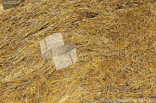Image of farm field cereals  