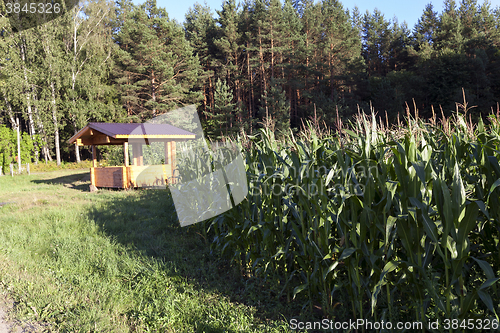 Image of Photo agriculture, Europe  