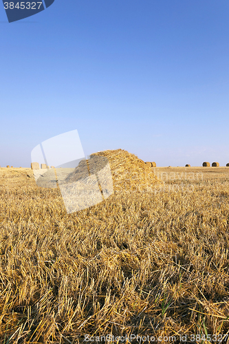 Image of stack of straw  