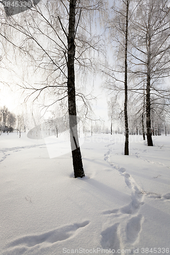 Image of Snow covered road 