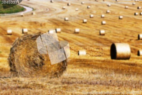 Image of agriculture, not in focus  