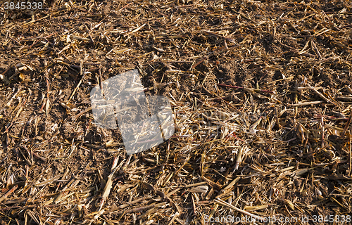 Image of Photo agriculture, Europe 