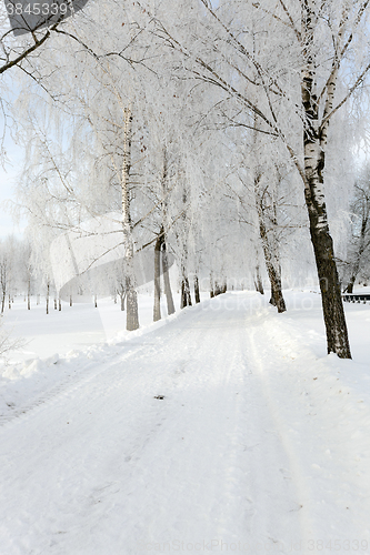 Image of Snow covered road 