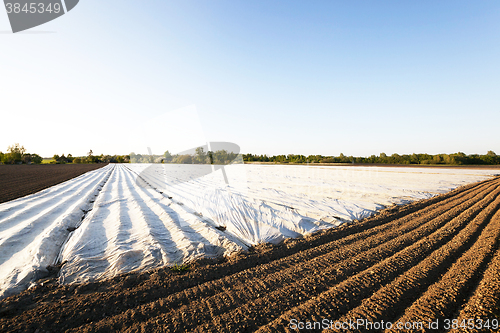 Image of plowed for crop land  