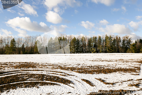 Image of winter   with snow