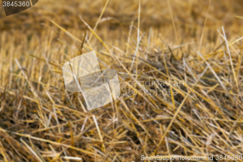 Image of agriculture, not in focus  