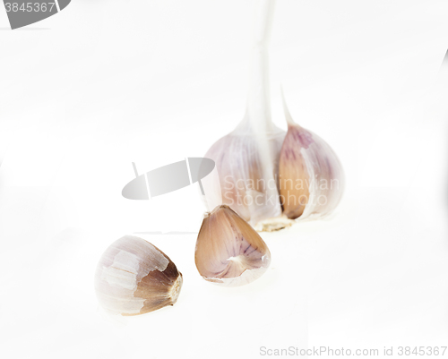 Image of cloves of garlic  