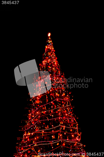 Image of High Christmas tree shining at night