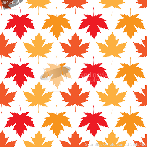 Image of Vector seamless wallpaper. Autumn maple leaves