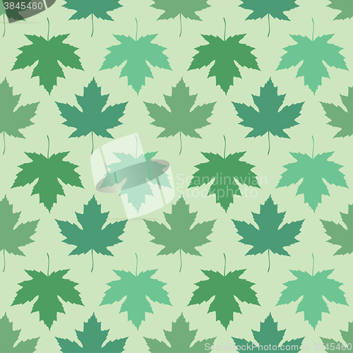 Image of Vector seamless wallpaper. Maple leaves