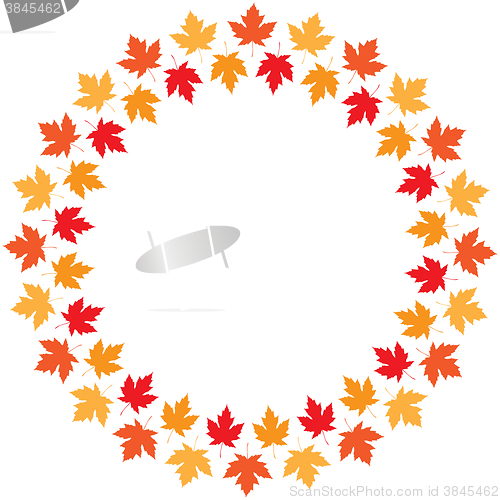 Image of Vector round frame from maple autumn leaves