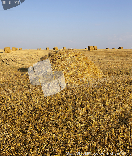 Image of Stack of straw  