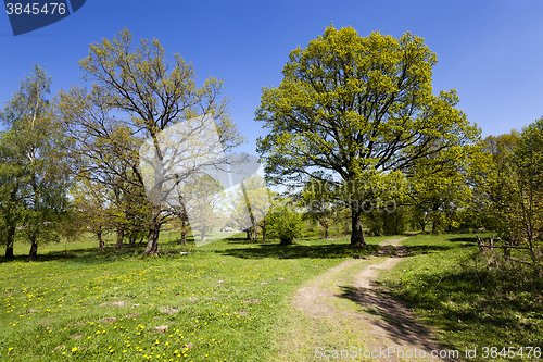 Image of rural road,  spring  