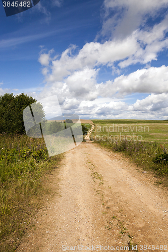 Image of Spring road , countryside  