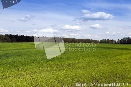 Image of field in spring  