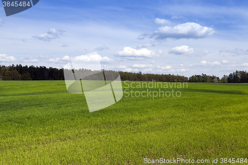 Image of field in spring  
