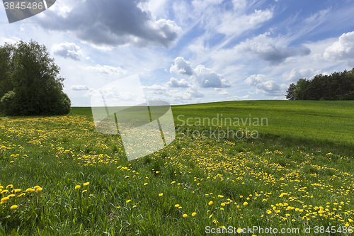 Image of Photo agriculture, Europe  
