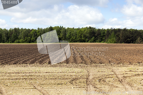 Image of plowed land, furrows  