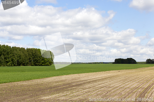 Image of plowed for crop land  