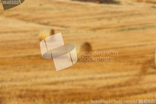 Image of agriculture, not in focus  