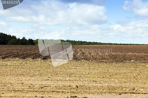 Image of plowed land, furrows  