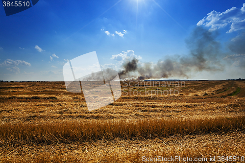 Image of Fire in the field  