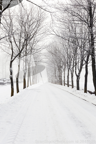 Image of path in the snow  