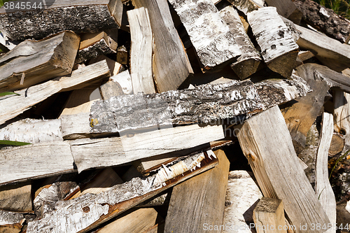 Image of firewood in nature  