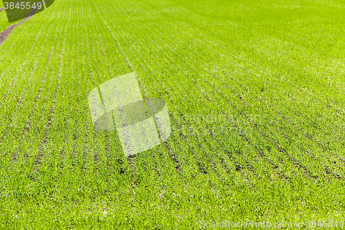 Image of road in a field  