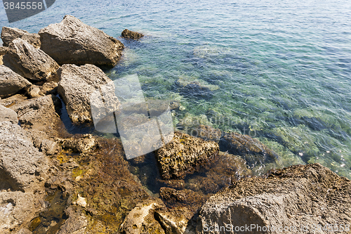 Image of   close-up. Adriatic Sea