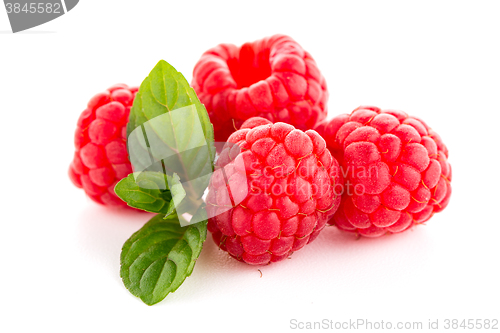 Image of Raspberries with leaves
