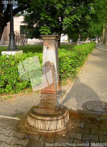 Image of  streetside historic public water fountain for drinking or bathi