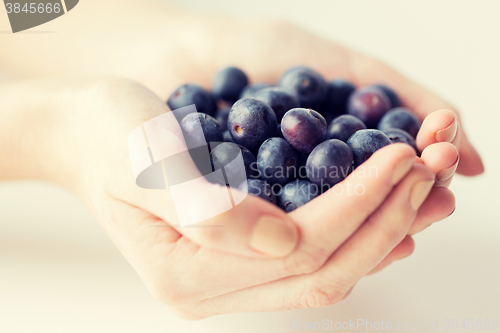 Image of close up of woman hands holding blueberries