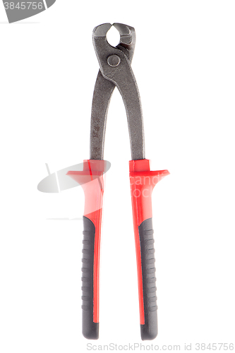 Image of Red nippers isolated 