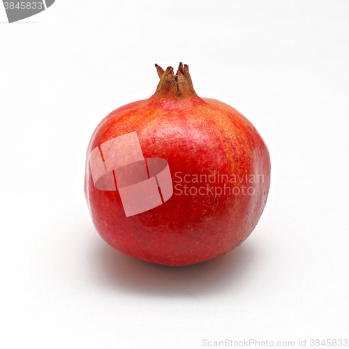Image of Pomegrenate