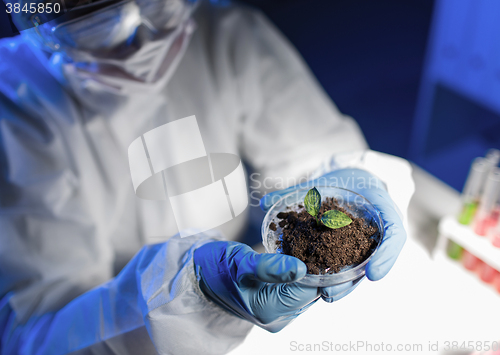 Image of close up of scientist with plant and soil in lab